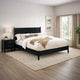 Wooden Eastern King Size Bed with Panel Headboard, Black