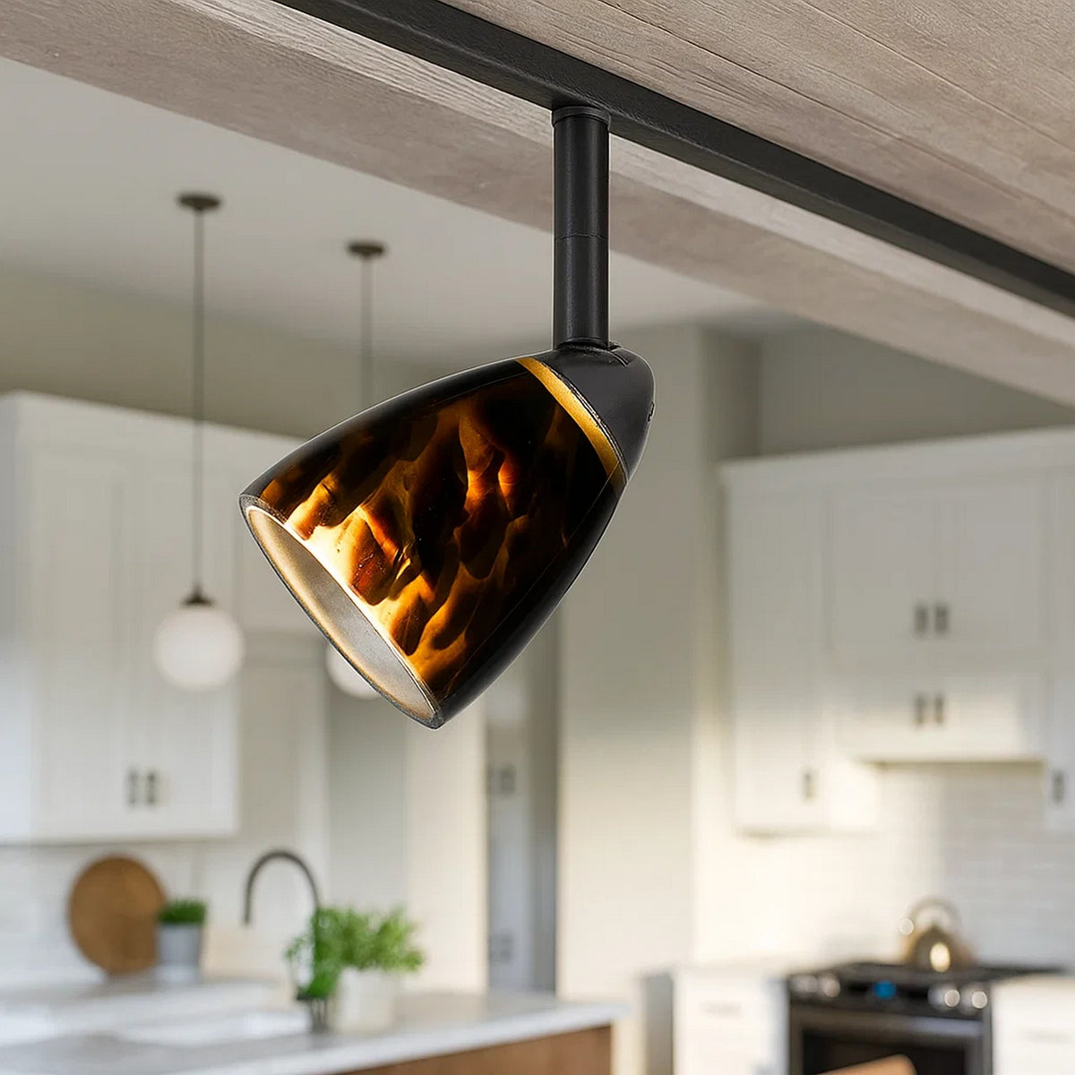 Track Light Head | Hand Blown Glass Shade | Metal Frame | Gold & Bronze