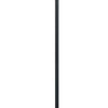 80 Watt Metal Floor Lamp with Dual Gooseneck and Uno Style Shades Black By Casagear Home BM220842