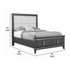 Transitional California King Storage Bed with Fabric Headboard, Gray and Cream