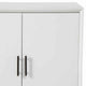 Transitional Style 2 Door Wooden Bar Cabinet with Splayed Legs, White