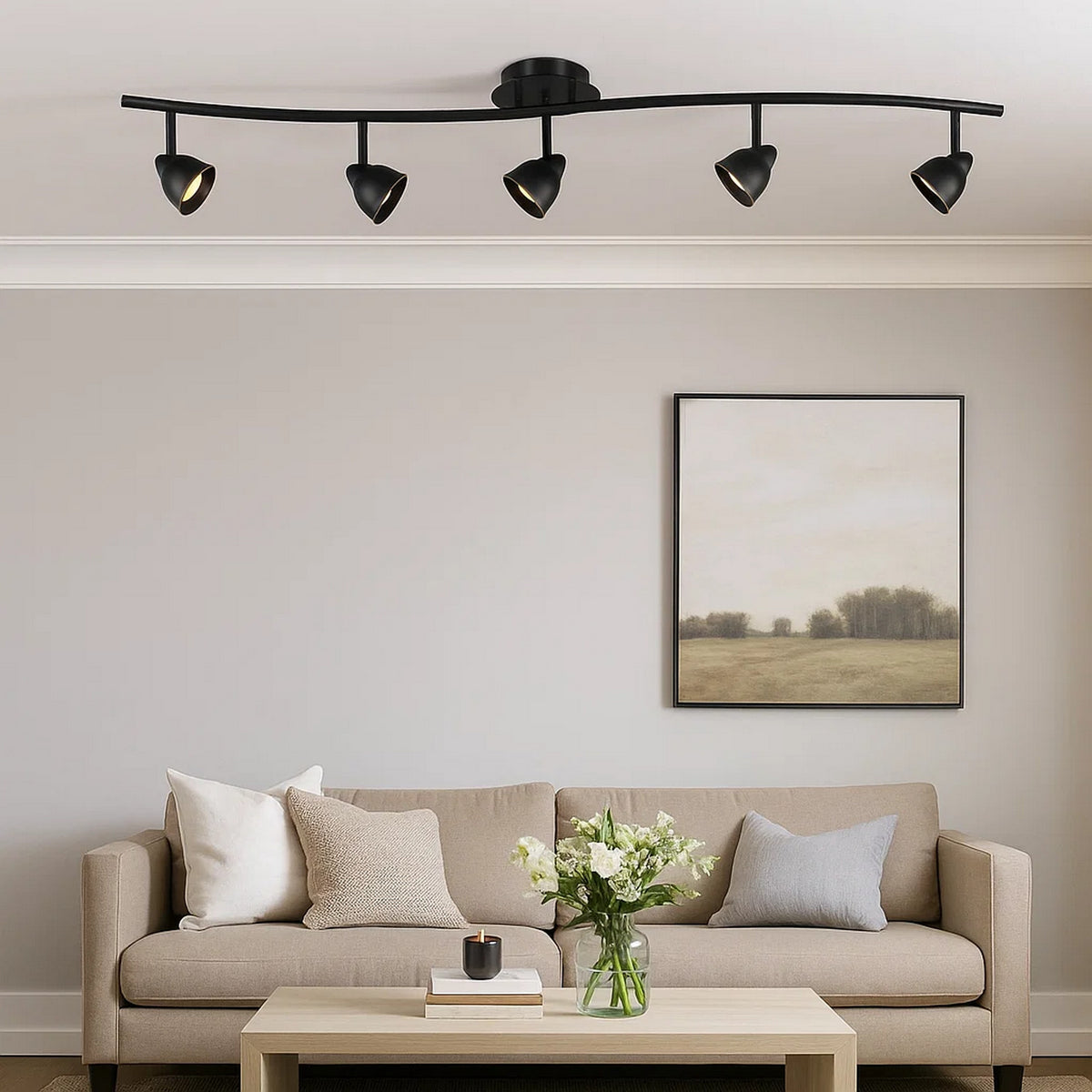 Track Fixture | 5 Light | Round Shade | Black