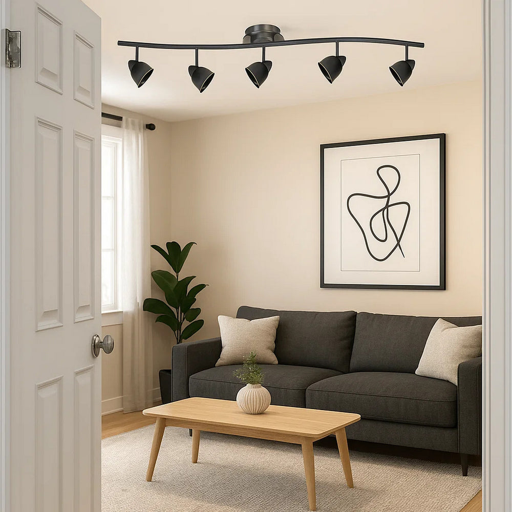 Track Fixture | 5 Light | Round Shade | Black