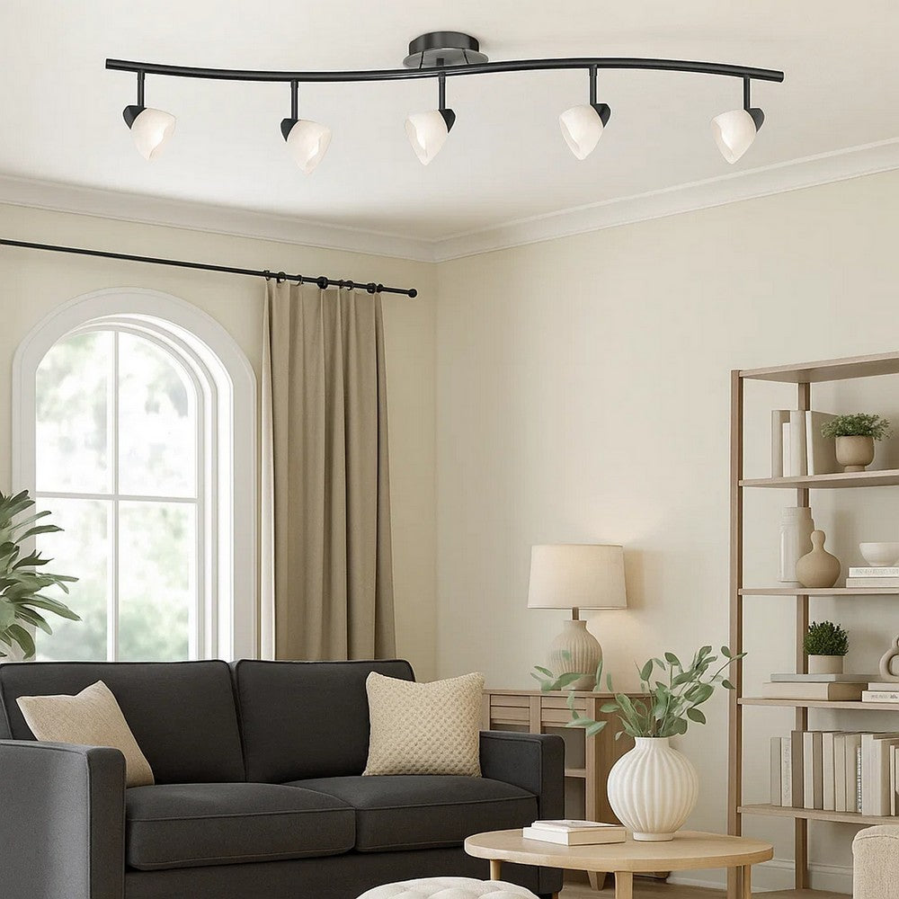 Track Fixture | 5 Light | Glass Shade | Black & White