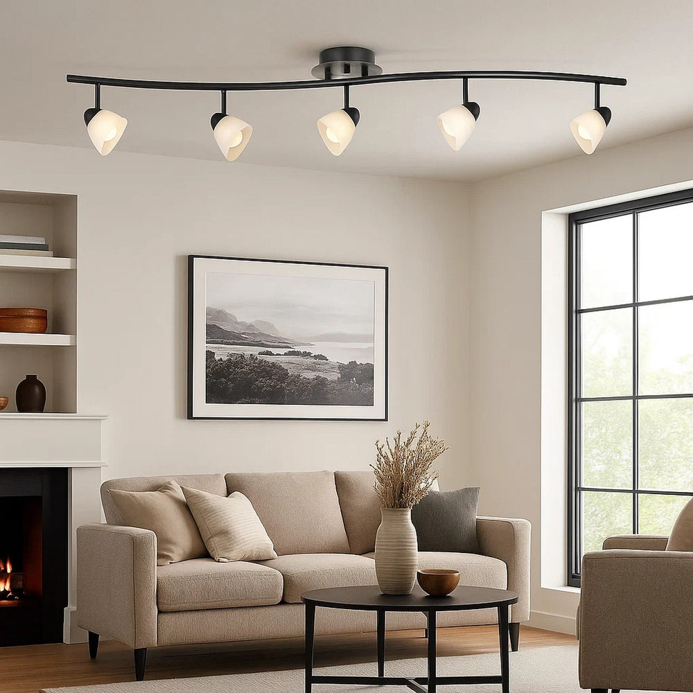 Track Fixture | 5 Light | Glass Shade | Black & White