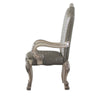 Leatherette Arm Chair with High Back and Claw Legs Set of 2 Antique White By Casagear Home BM225881