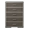 5 Drawer Wooden Chest with Mirror Trim Accents Gray BM225886