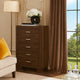 Transitional Style Wooden Chest with 2 Drawers and Metal Handles, Brown