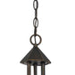 3 Bulb Chandelier with Metal Frame and Smoked Glass Shade, Bronze By Casagear Home