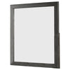 32 Inch Transitional Style Wooden Frame Mirror, Gray