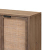 2 Door Accent Cabinet with Woven Rattan Front Brown By Casagear Home BM241084