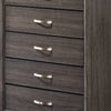 Chest with 5 Storage Drawers and Grain Details Gray By Casagear Home BM241250