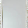 Beveled Mirror with Mother of Pearl Strip Accent, Silver By Casagear Home