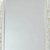 Beveled Mirror with Mother of Pearl Strip Accent Silver By Casagear Home BM242252