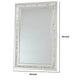 Beveled Mirror with Mother of Pearl Strip Accent Silver By Casagear Home BM242252