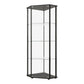 Metal Curio Cabinet with 1 Door and 3 Glass Shelves, Black By Casagear Home