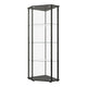 Metal Curio Cabinet with 1 Door and 3 Glass Shelves, Black By Casagear Home