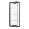 Metal Curio Cabinet with 1 Door and 3 Glass Shelves, Black By Casagear Home