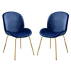 Side Chair with Fabric and Bucket Design, Set of 2, Blue and Gold