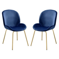 Blue and Gold