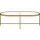 Coffee Table with Oblong Glass Top and Metal Frame Gold By Casagear Home BM250407