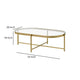 Coffee Table with Oblong Glass Top and Metal Frame Gold By Casagear Home BM250407