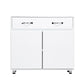 Server with 2 Door Storage and 1 Drawer, White By Casagear Home