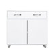 Arlo Server | 2 Door Storage | 1 Drawer | White