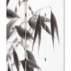 3 Panel Foldable Canvas Screen with Lily Print Black and White BM26531