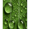 Morning Dew Print Foldable Canvas Screen with 3 Panels Green BM26532