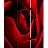 3 Panel Foldable Canvas Screen with Rose Print Red BM26536