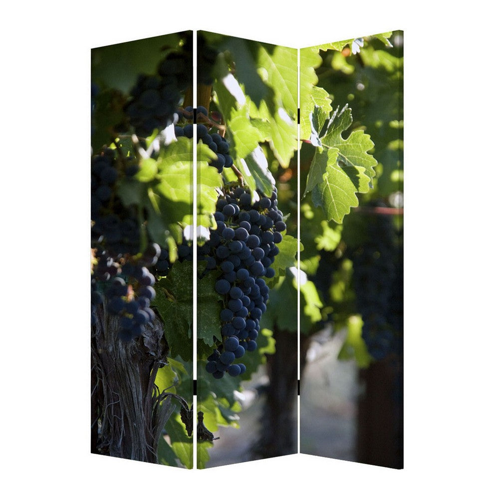 Grape Vine Print Foldable Canvas Screen with 3 Panels, Multicolor