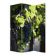 Grape Vine Print Foldable Canvas Screen with 3 Panels, Multicolor