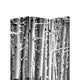 3 Panel Canvas Foldable Screen with Birch Print Black and White BM26560