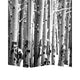 3 Panel Canvas Foldable Screen with Birch Print Black and White BM26560