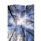 3 Panel Foldable Canvas Screen with Tree Print Black BM26561