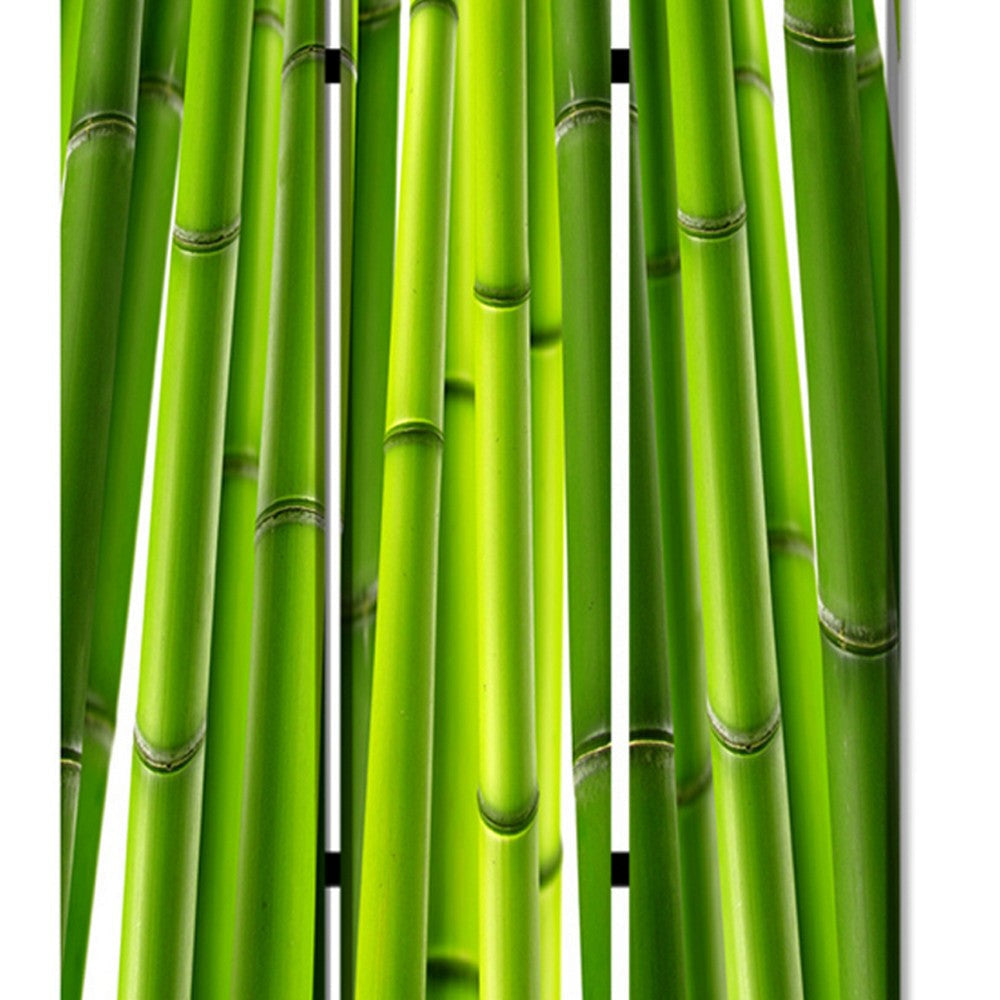 3 Panel Foldable Room Divider with Bamboo Design Print Green BM26562