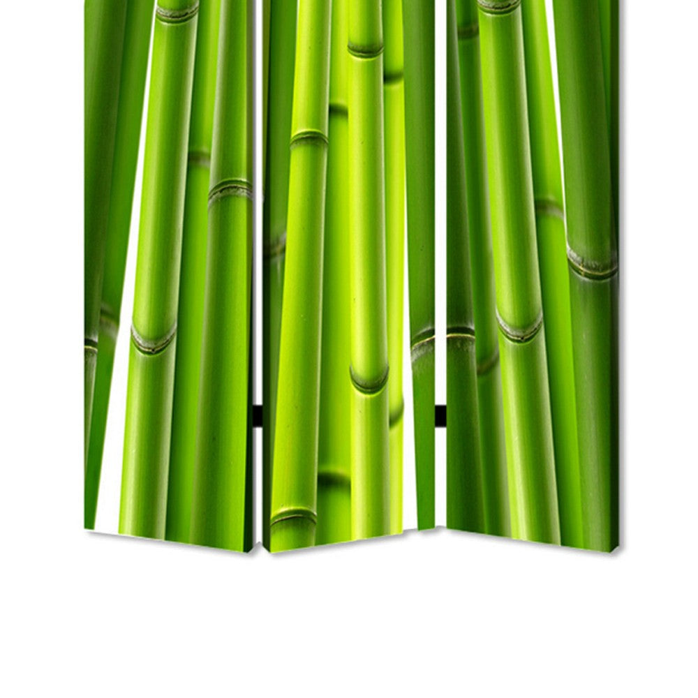 3 Panel Foldable Room Divider with Bamboo Design Print Green BM26562