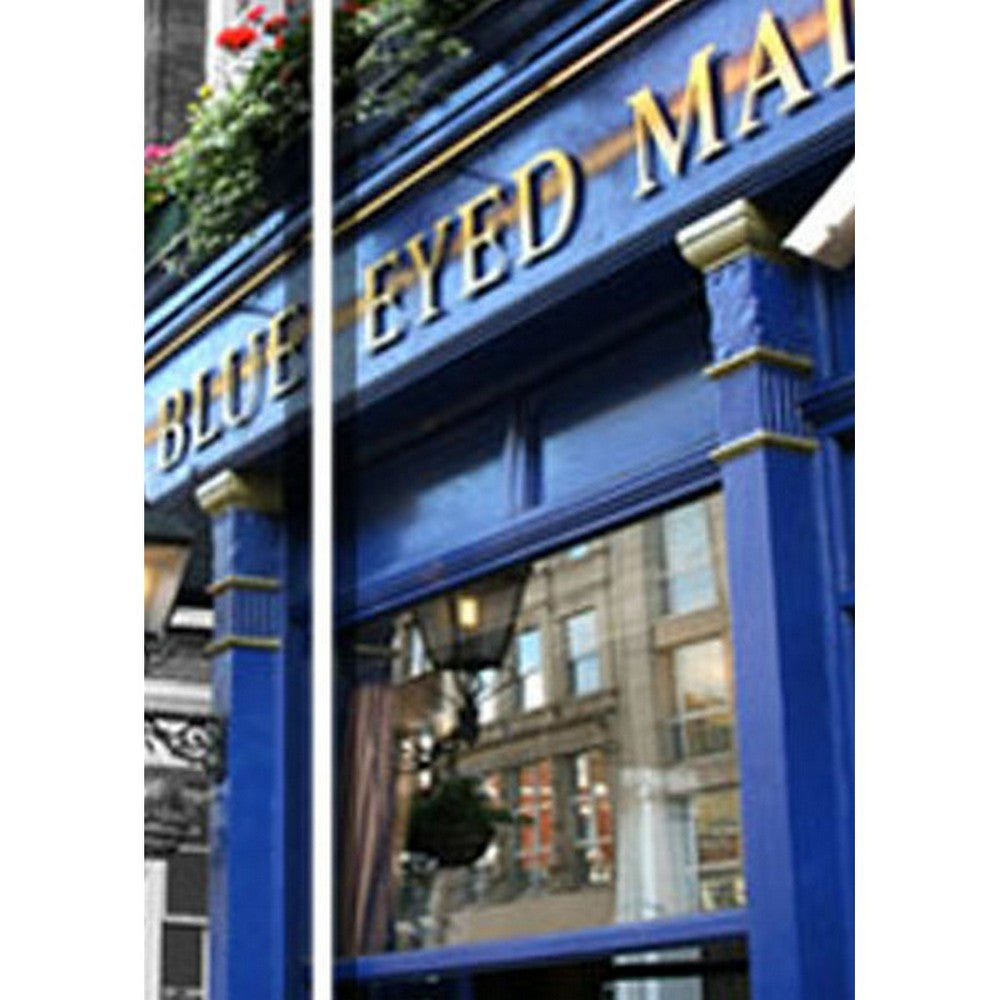 3 Panel Blue Eyed Maid Print Foldable Room Divider Blue BM26565