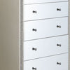 51 Inch Lee 5 Drawer Mirrored Tall Chest Dresser Acrylic Trim Champagne BM273233