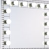 Rose 32 Inch Vanity Lighted Wall Mirror 11 Bulbs Faux Diamond Silver BM274653