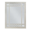 Nic 40 Inch Accent Mirror, Beveled Wood Frame Portrait, Silver