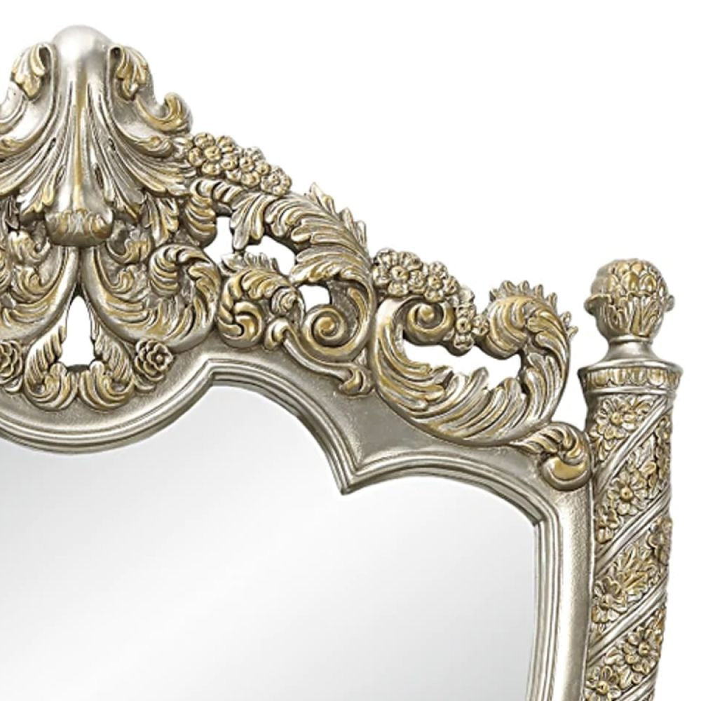 Mas 59 Inch Classic Wood Mirror Ornate Carved Frame Champagne Gold BM275690