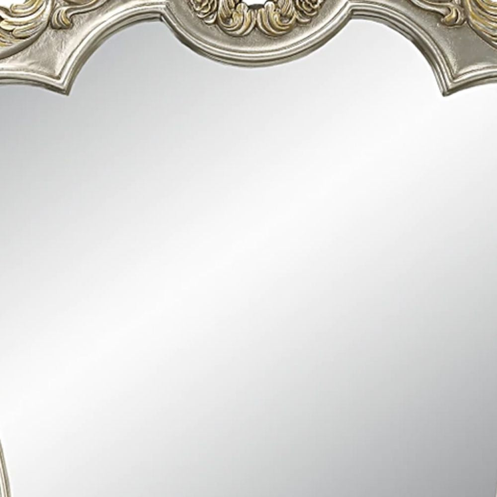 Mas 59 Inch Classic Wood Mirror Ornate Carved Frame Champagne Gold BM275690