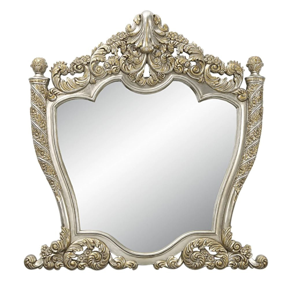 Mas 59 Inch Classic Wood Mirror, Ornate Carved Frame, Champagne Gold