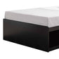 Troy Modern Wood Platform Upholstered Full Size Storage Bed Red Cocoa By Casagear Home BM279746