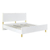 Tyra Modern Queen Bed, Panel Headboard, Luxury Textured Chevron, White Gold