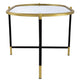 43 Inch Elongated Mirror Top Coffee Table Iron Frame Gold Finish Black By Casagear Home BM284761