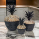 Lidded Jar Set | 14", 12", 11" | Pineapple Design | Gray Mango Wood