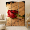 Liva 71 Inch Modern Folding Screen Room Divider, Rose and Sheet Music